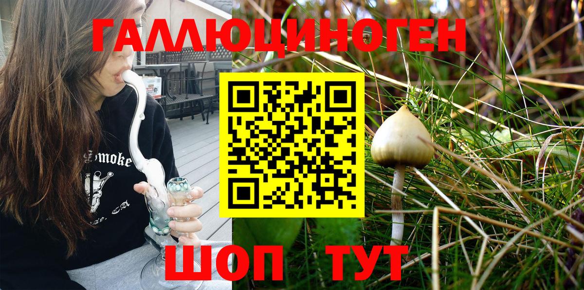 Всеволожск  Псилоцибиновые грибы Psilocybe  Вход с VPN 